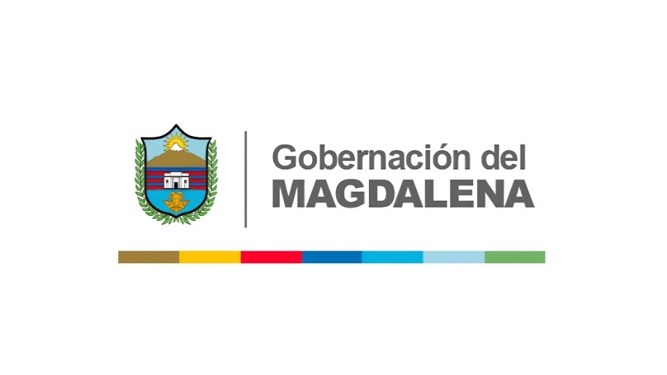 Organizan